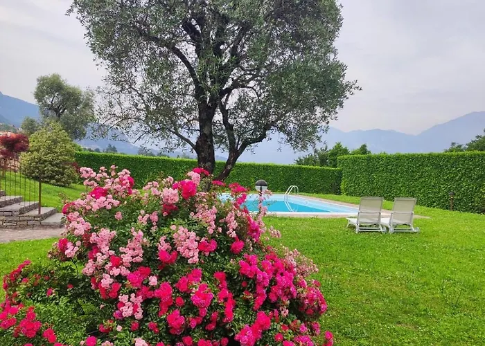 Alba Sul 아파트 레노